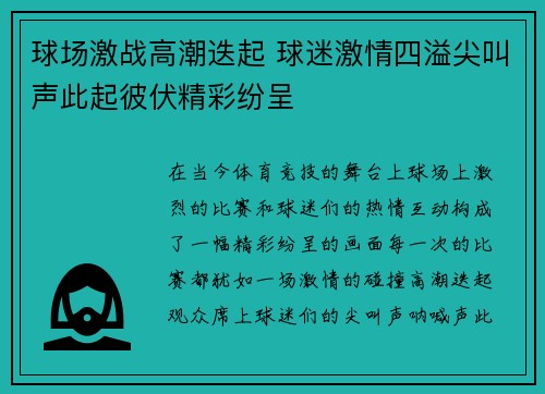 球场激战高潮迭起 球迷激情四溢尖叫声此起彼伏精彩纷呈