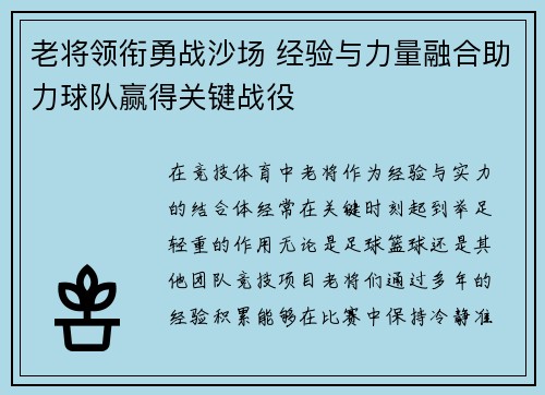 老将领衔勇战沙场 经验与力量融合助力球队赢得关键战役