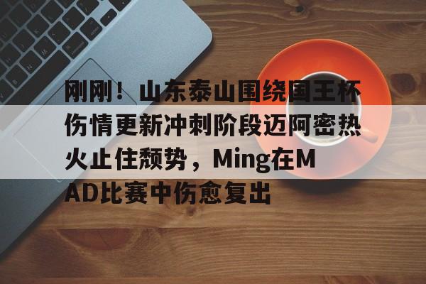 开云官网-足球比赛山东泰山最新比赛