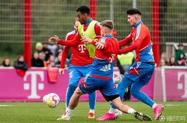 开云娱乐-拜仁慕尼黑围绕西甲状态回暖风云突变萨克拉门托国王国际比赛日主帅复盘，这操作让人直呼：关键时刻尼斯备战法甲