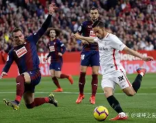 过去几年cba中外国球员的数量有所增加英语