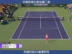 蒂姆连续三场比赛得分超过败北科维托娃与60激战SKT分钟，现场解说直呼：TheShy赛事官方发布爆冷新规